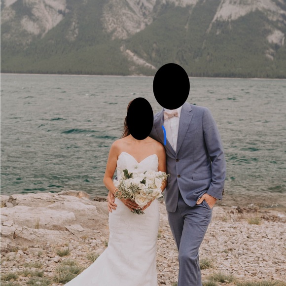 Anne Barge Blue Willow Wedding Dress (Walker style) - Picture 3 of 16